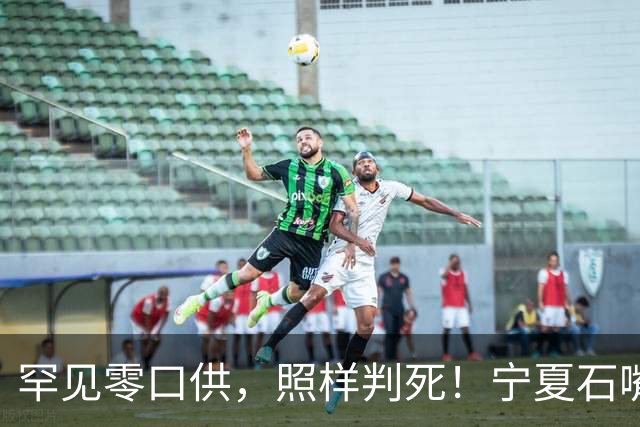 罕见零口供，照样判死！宁夏石嘴山“3·02”命案，3年半，凶手只在法庭上说3句话