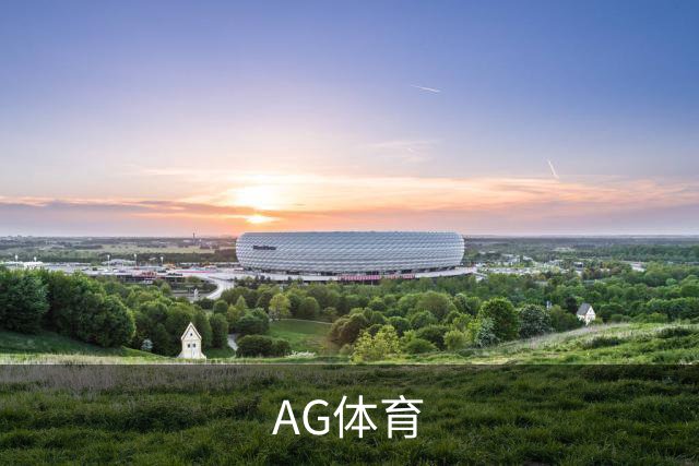 AG体育公司简介图片
